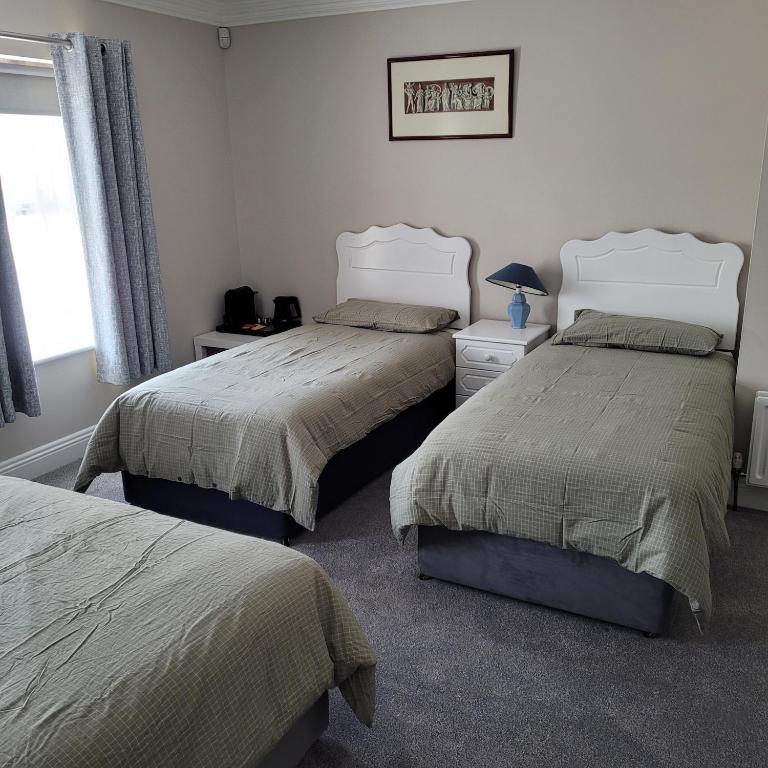 Postel nebo postele na pokoji v ubytování Dun Maeve Guesthouse