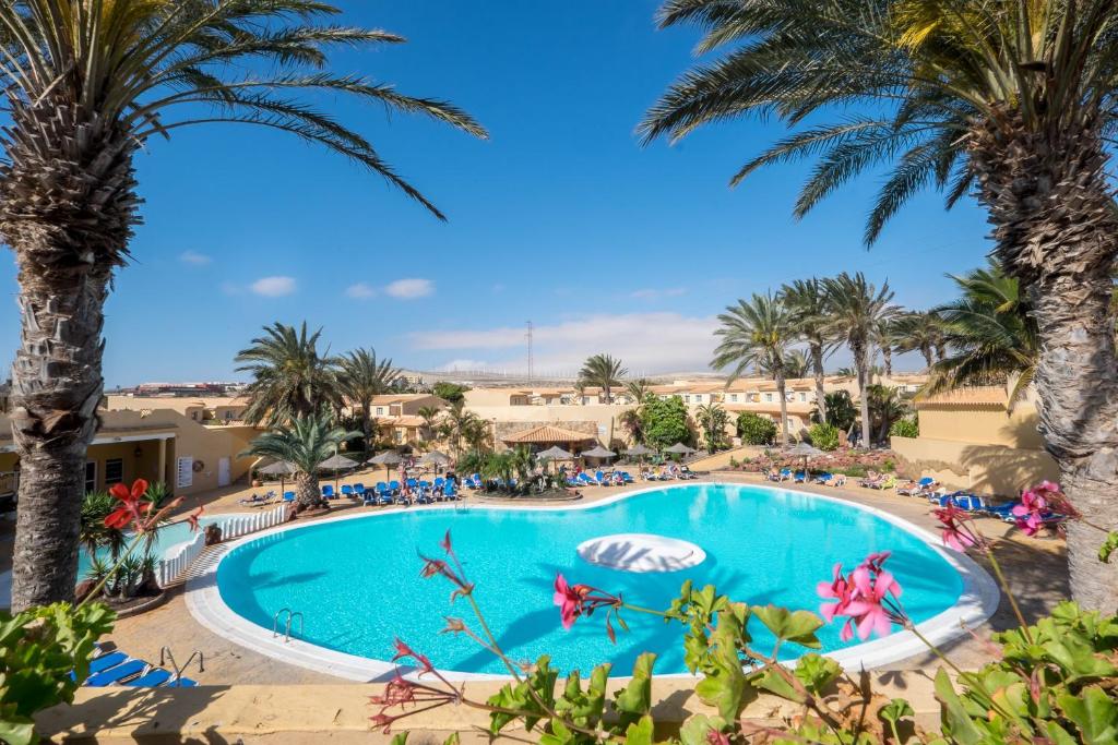uma vista sobre uma piscina com palmeiras em Royal Suite em Costa Calma