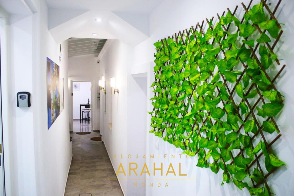 ALOJAMIENTO ARAHAL - RONDA - 2