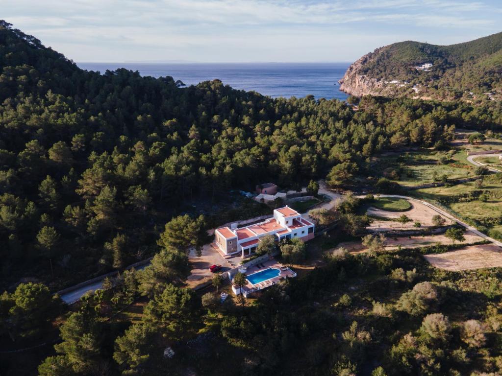 una vista aerea di una casa in una foresta di Oasis Living Villa Can Ramon a Cala Llonga