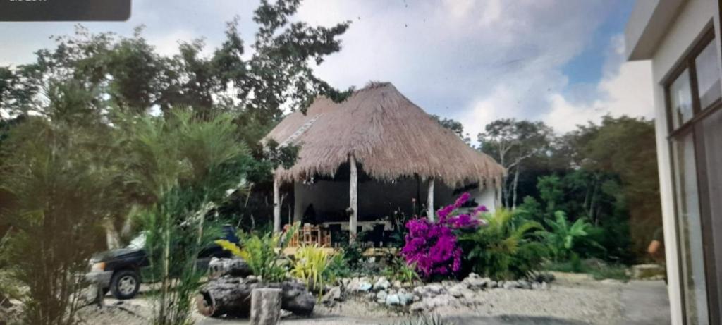 Casa Estrella