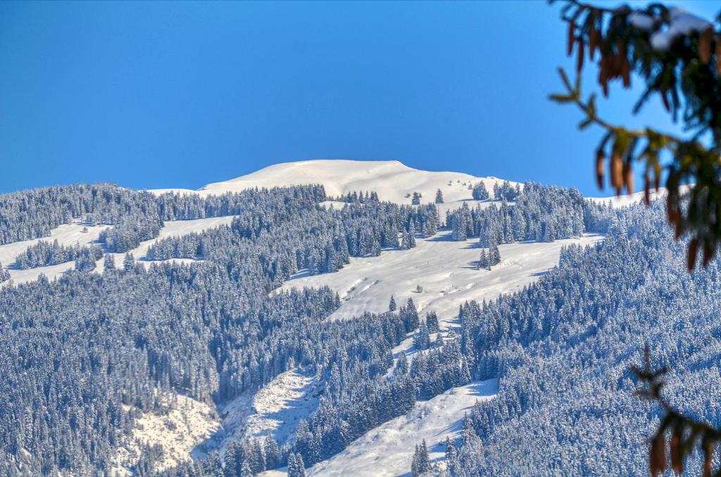 a snow covered mountain with trees and a snow covered slope at Apartment Snowmountain - by Alpen Apartments in Zell am See