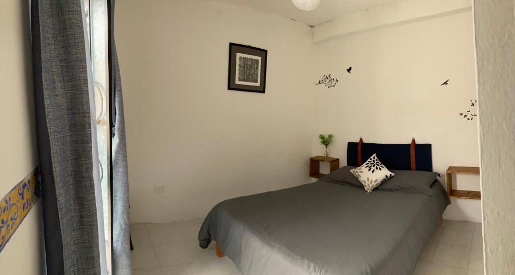 1 dormitorio con 1 cama en la esquina de una habitación en Casa Tierra Mojada, en Coatepec
