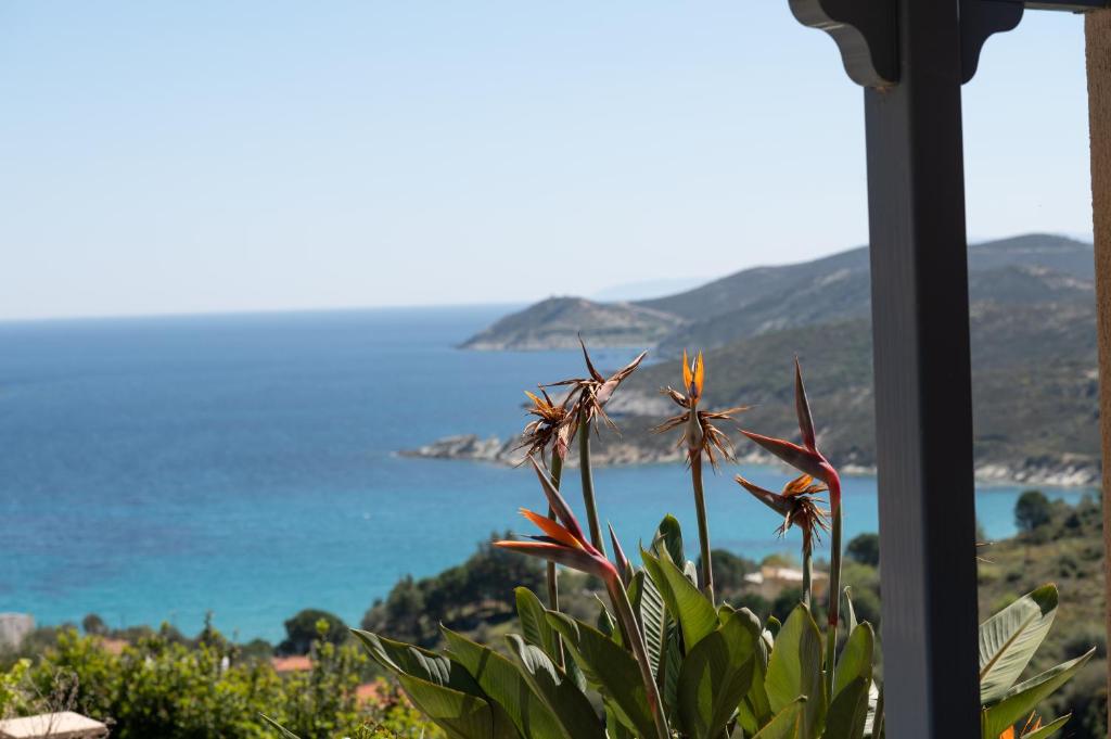 Fotografia z galérie ubytovania Wonderful maisonette overlooking the Aegean Sea v destinácii Petriaí