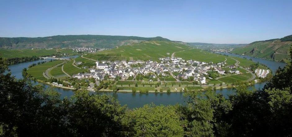 a small town on a hill next to a river at Fewo-Minheim Waltraud und Franz Bayer in Minheim