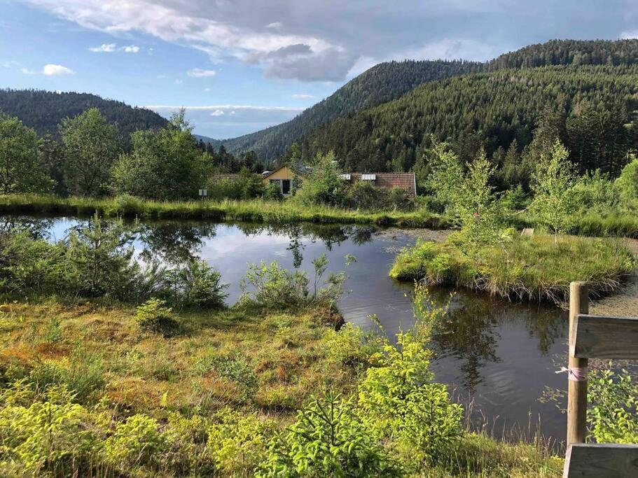 Príroda v okolí apartmánu