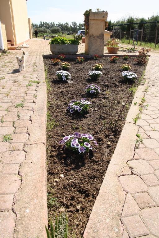 Ogród w obiekcie Villa Cabirol
