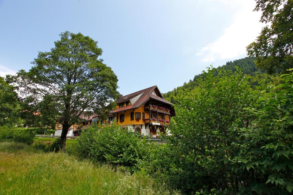 une maison sur une colline avec un arbre devant elle dans l'établissement Hotel Gasthaus Hirschen, à Todtnau