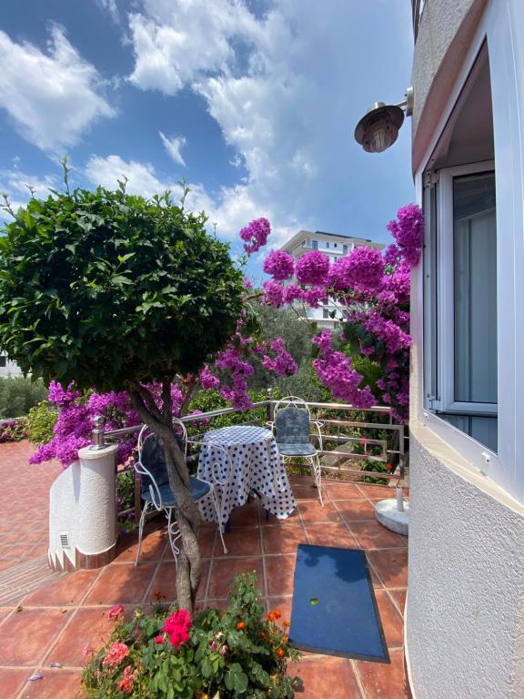 Zahrada ubytování Apartmani IVA Bečići