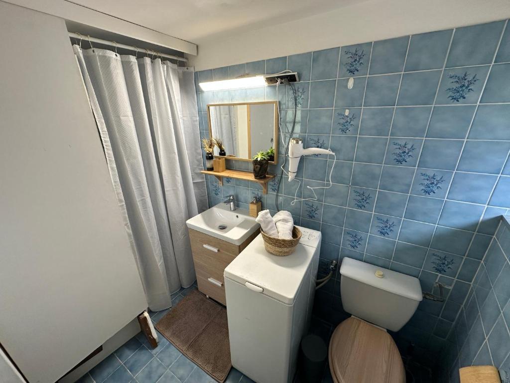 a blue tiled bathroom with a toilet and a sink at T1 charmant et typique sur les hauteurs de Bastia in Bastia