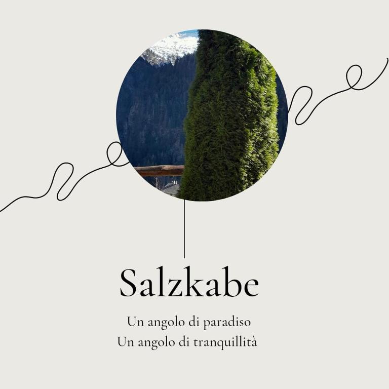 a tree in a circle with the text saalebia in antipoda off paradise at Baita salzkabe in Macugnaga