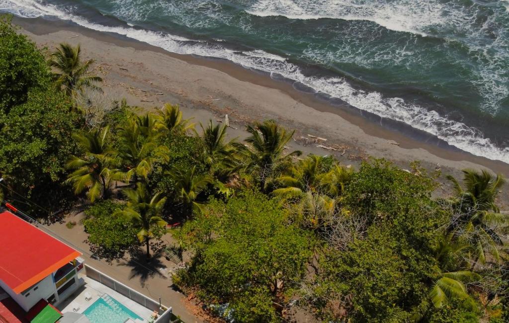 Hotel El Icaco Tortuguero في تورتوجويرو: اطلالة جوية على شاطئ فيه نخيل