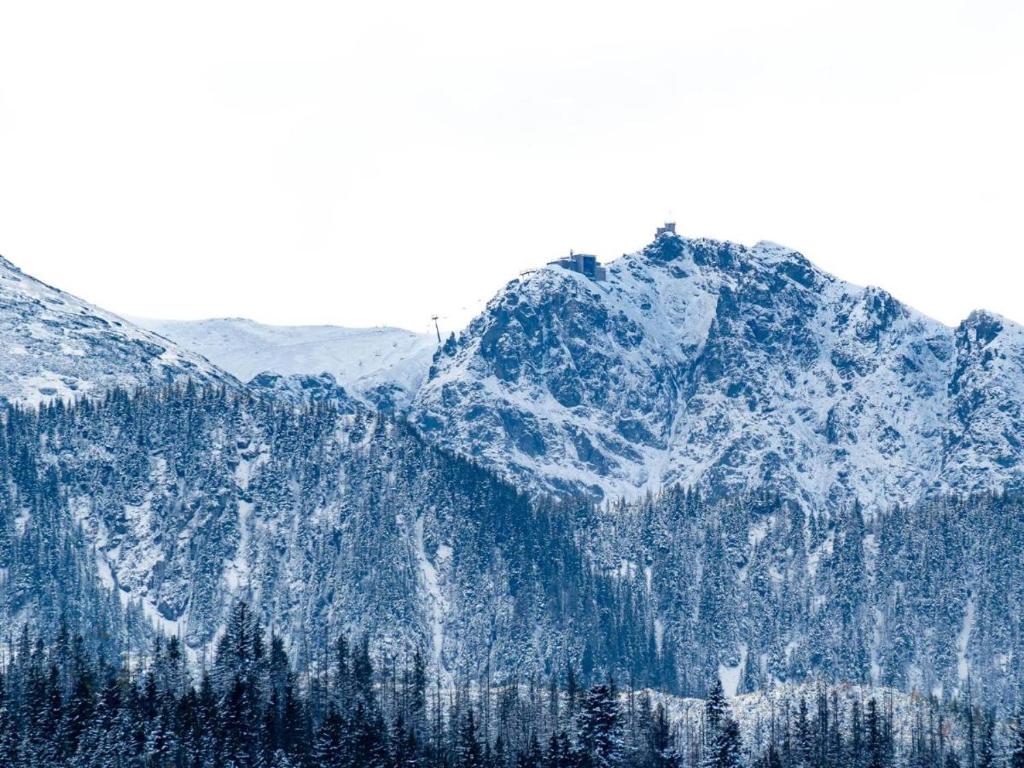 Villa Taternik by Golden Villas - Resim 12