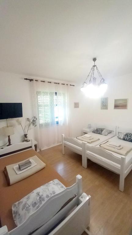 Joković Accommodation - 16