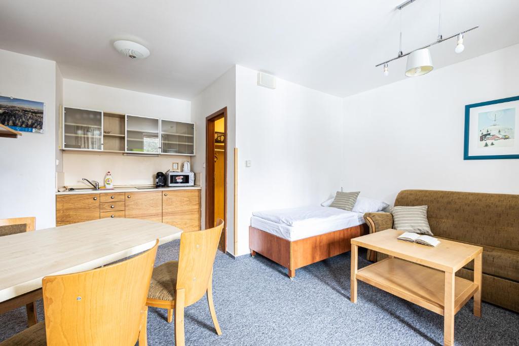 Kuchyň nebo kuchyňský kout v ubytování Hotel Petrovy kameny