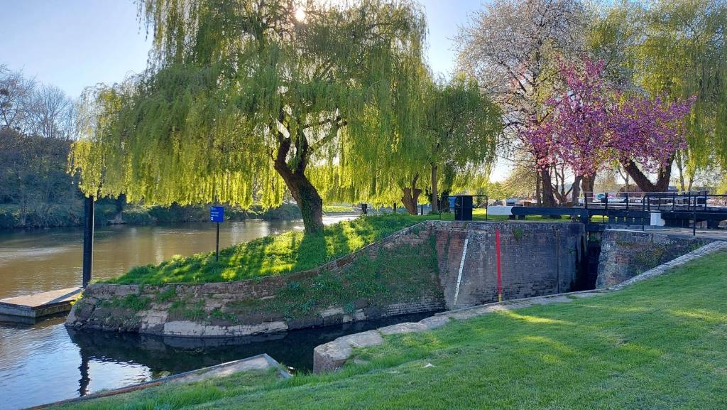 a river with a weeping willow tree in a park at Waters Edge, Town house in Stourport-on-Severn in Stourport