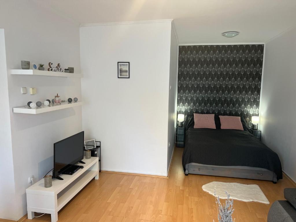 TV a/nebo společenská místnost v ubytování Belvárosi apartman