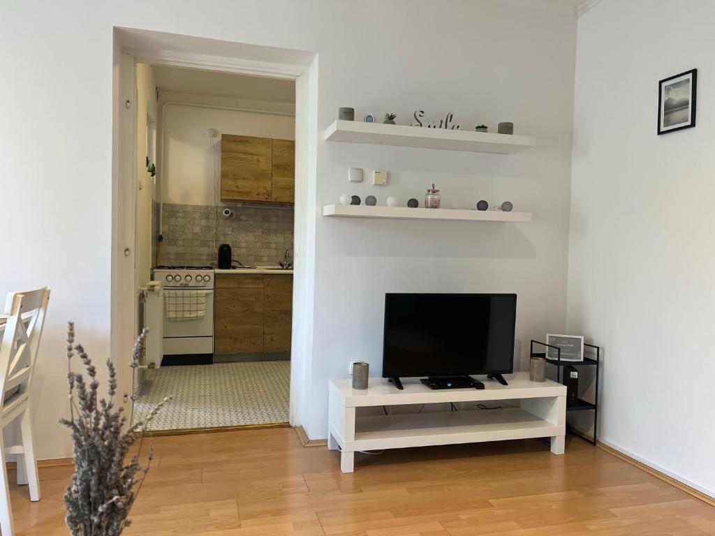 TV a/nebo společenská místnost v ubytování Belvárosi apartman