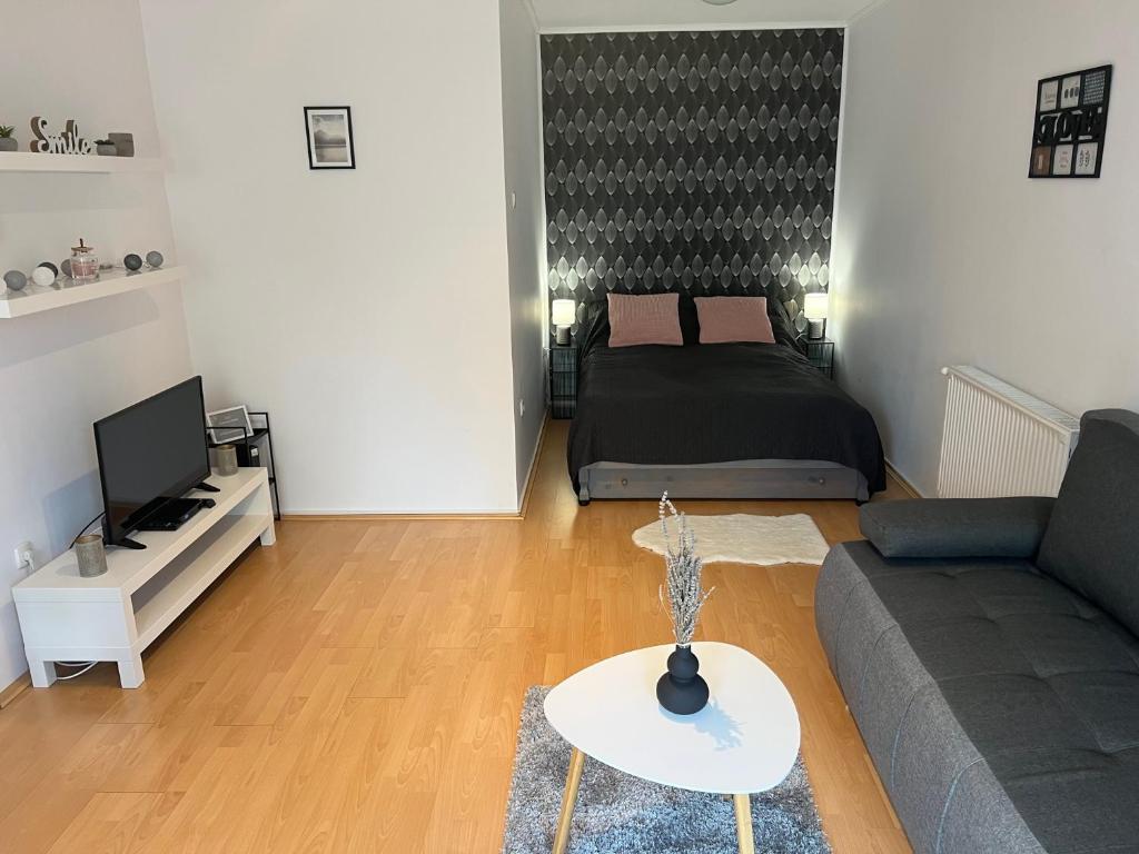 TV a/nebo společenská místnost v ubytování Belvárosi apartman