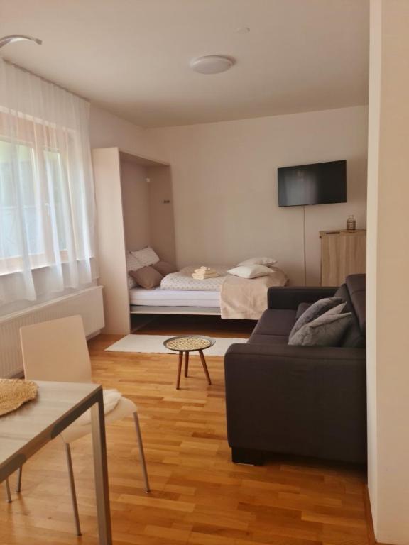 TV a/nebo společenská místnost v ubytování Pohorske terase Gabi
