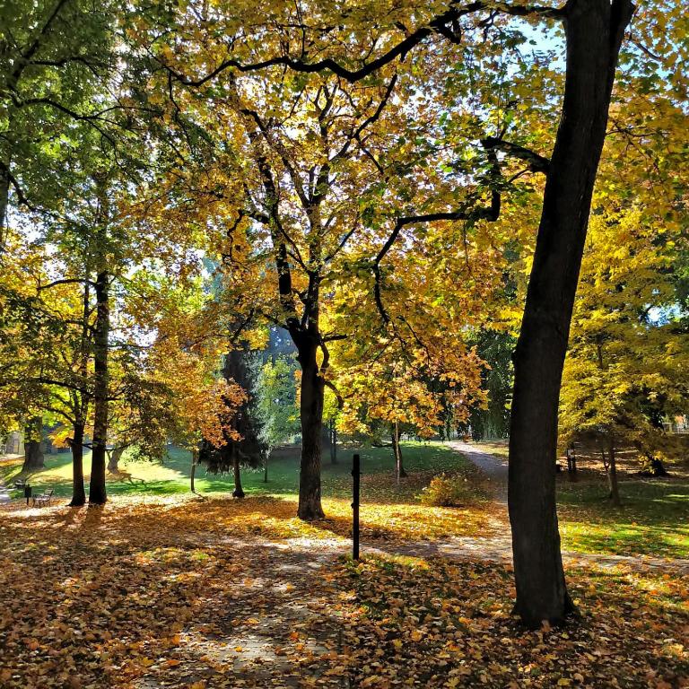 Apartmány Monastery Suites Žireč - 9