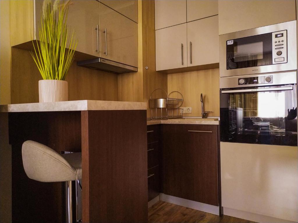 Kuchyň nebo kuchyňský kout v ubytování Europroperties Golden Line