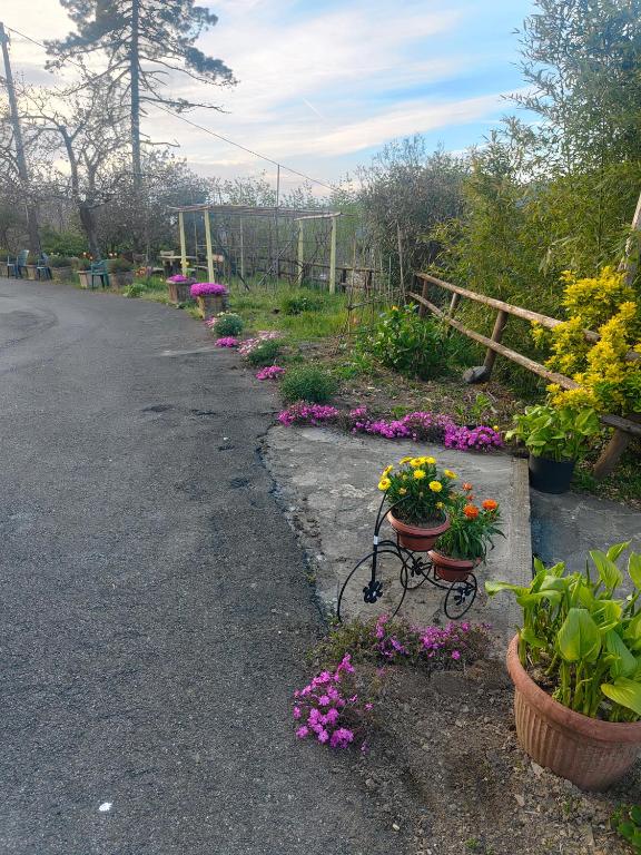 Zahrada ubytování Il Giardino dei Pavoni