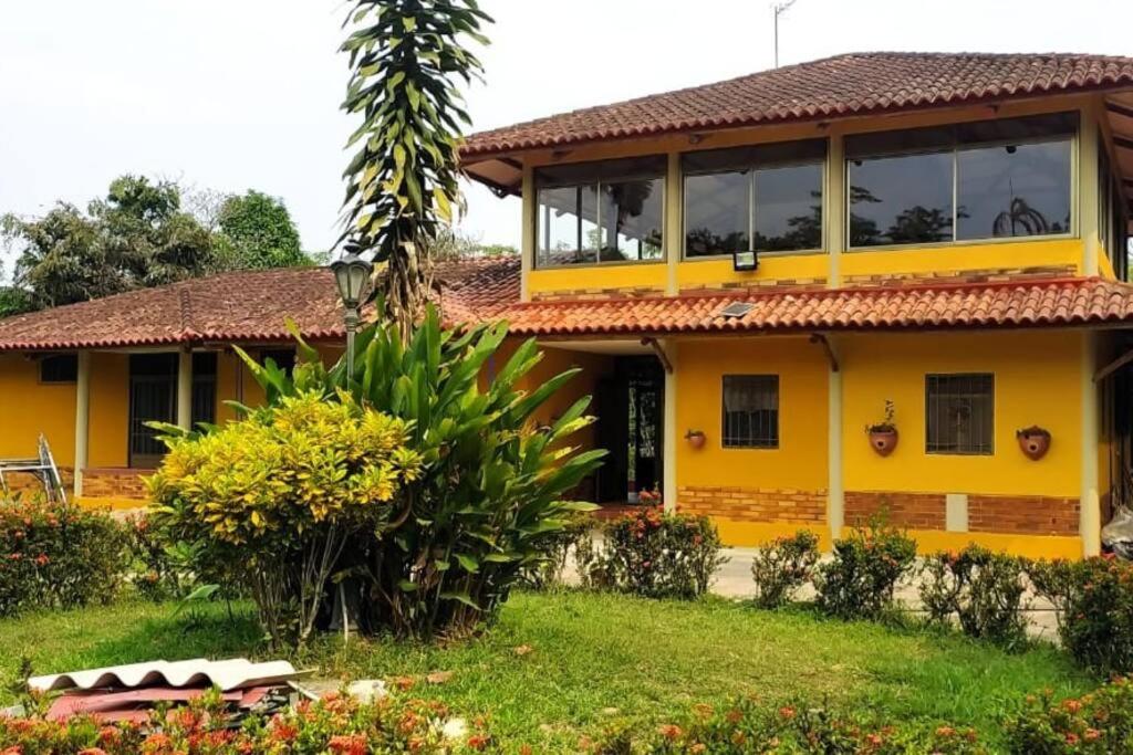a yellow house with a palm tree in front of it at Andalucia in Villavicencio