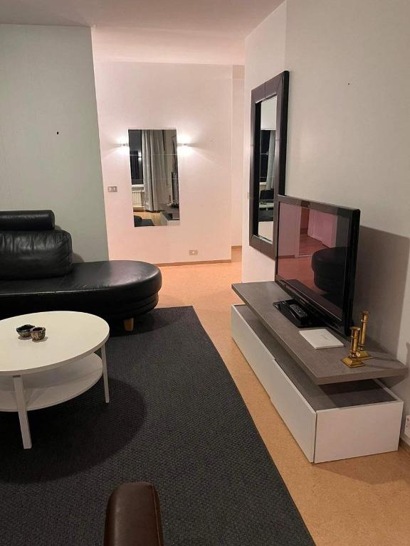 TV a/nebo společenská místnost v ubytování Dúfan Apartments