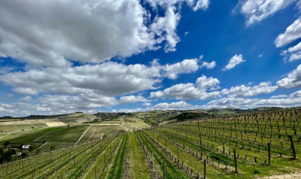 a view of a vineyard under a blue sky with clouds at MiaClara Relais in Alba