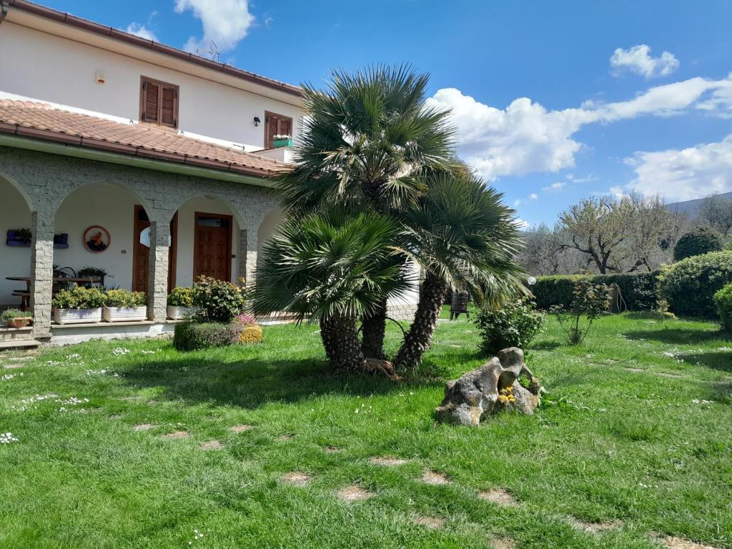 Fuori dal Borgo.... في فيتورشيانو: كلب يجلس في العشب أمام المنزل