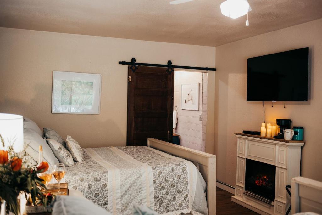 TV a/nebo společenská místnost v ubytování Taylor Creek Lodge
