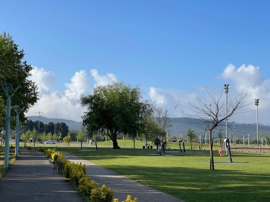 un parco con marciapiede, alberi ed erba di Cantinhos Da Serra e Sopé, Soure a Soure