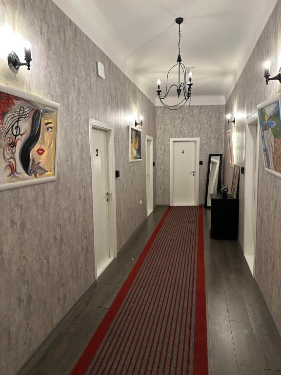Nice 5 Apartments
