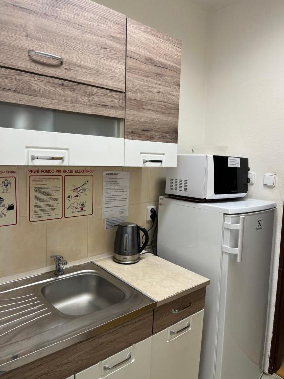 Kuchyň nebo kuchyňský kout v ubytování Hotel M