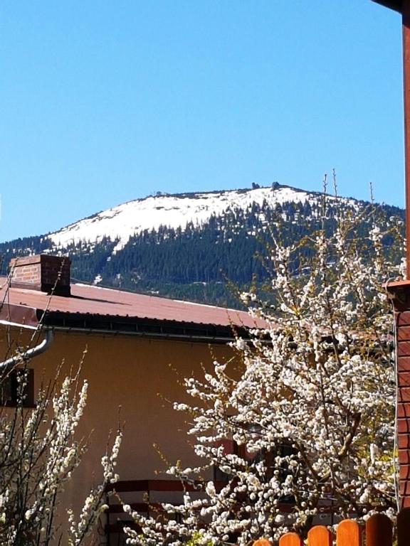 Výhľad na hory alebo výhľad na hory priamo z apartmánu