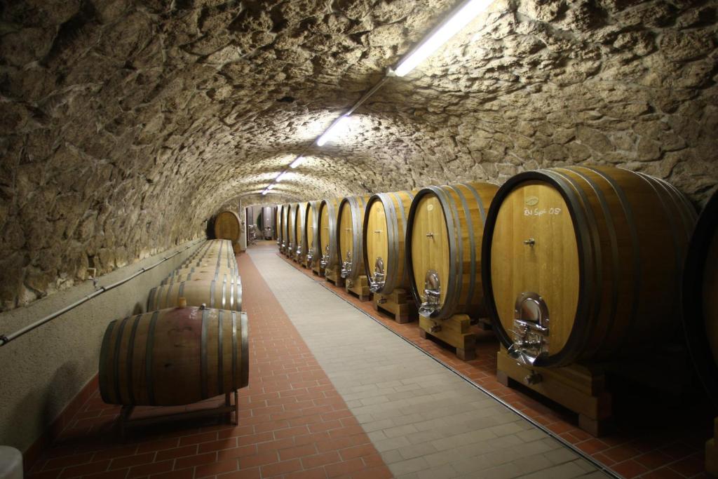 Fotografie z fotogalerie ubytování Arkadenweingut-Gästehaus Heiss v destinaci Illmitz