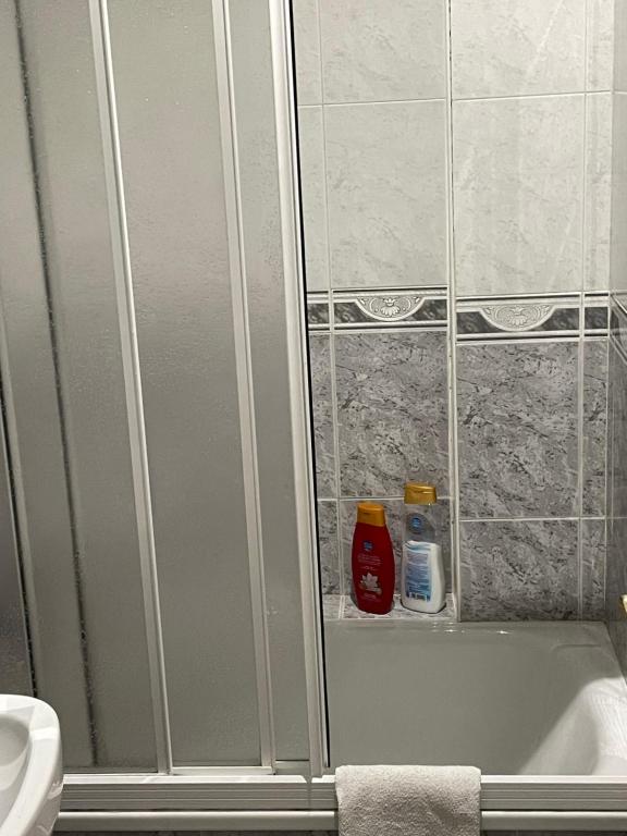 Koupelna v ubytování Apartamentos Coronichi