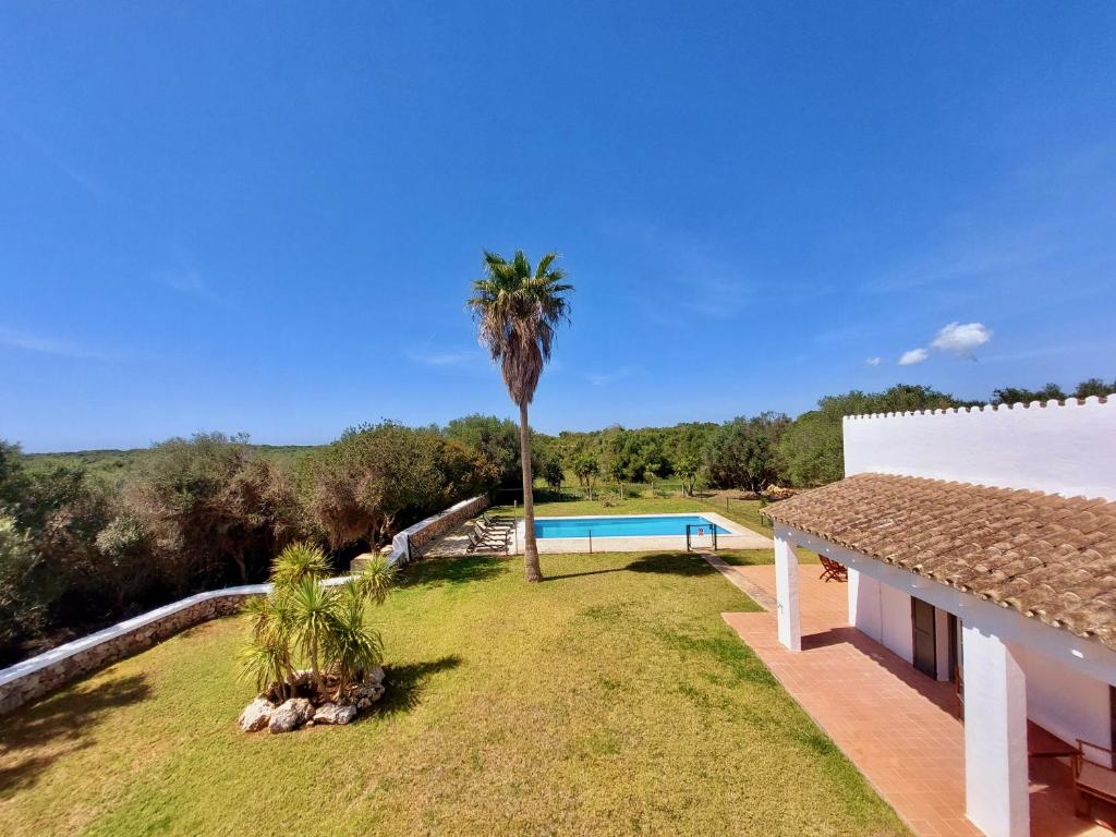 a villa with a palm tree and a swimming pool at Binimont in Sant Lluis