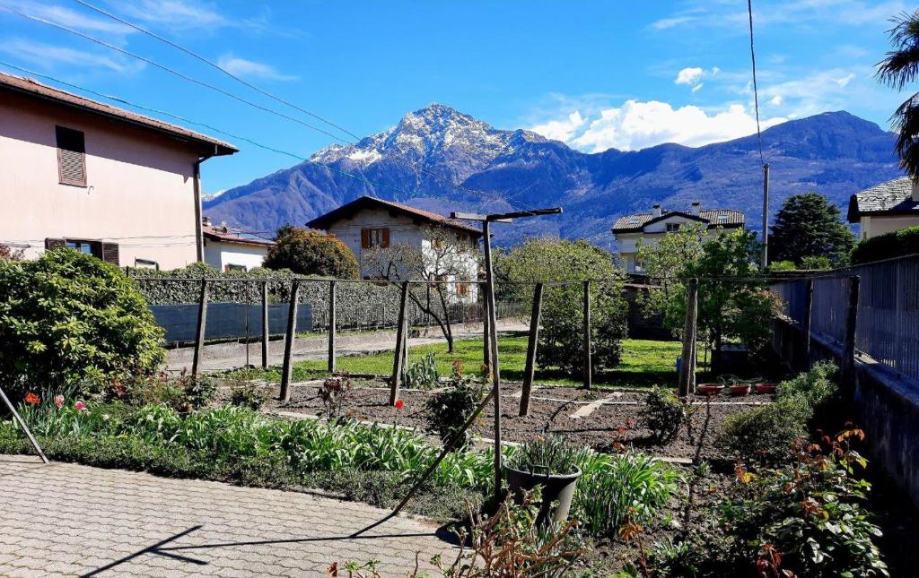 een tuin met een berg op de achtergrond bij My Holidays - Casa Laura in Domaso