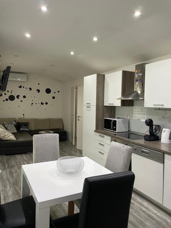Kuchyňa alebo kuchynka v ubytovaní Apartman Rakovac