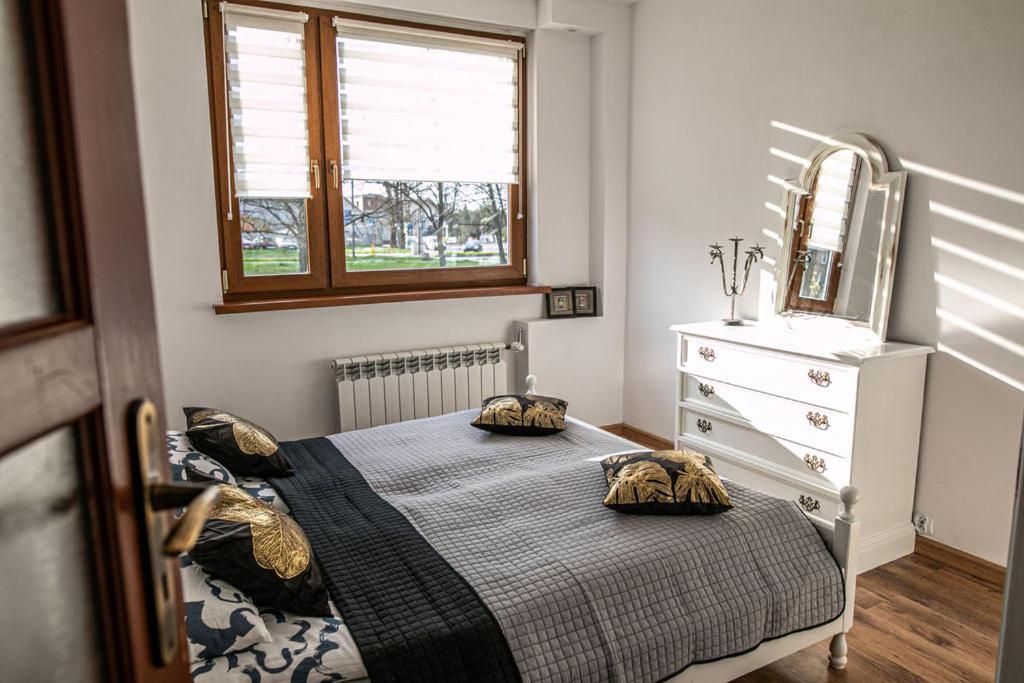 um quarto com uma cama com uma cómoda e um espelho em Cosy Space Apartment em Tychy