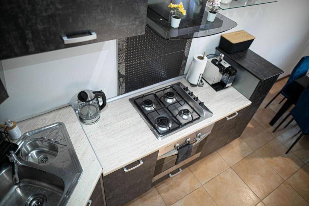 Kuchyň nebo kuchyňský kout v ubytování Cosy Space Apartment