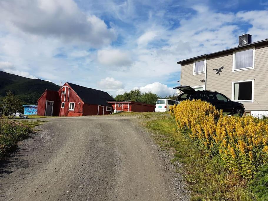 uma estrada de terra ao lado de uma casa e um celeiro vermelho em Hus i vakre Lofoten em Stamsund
