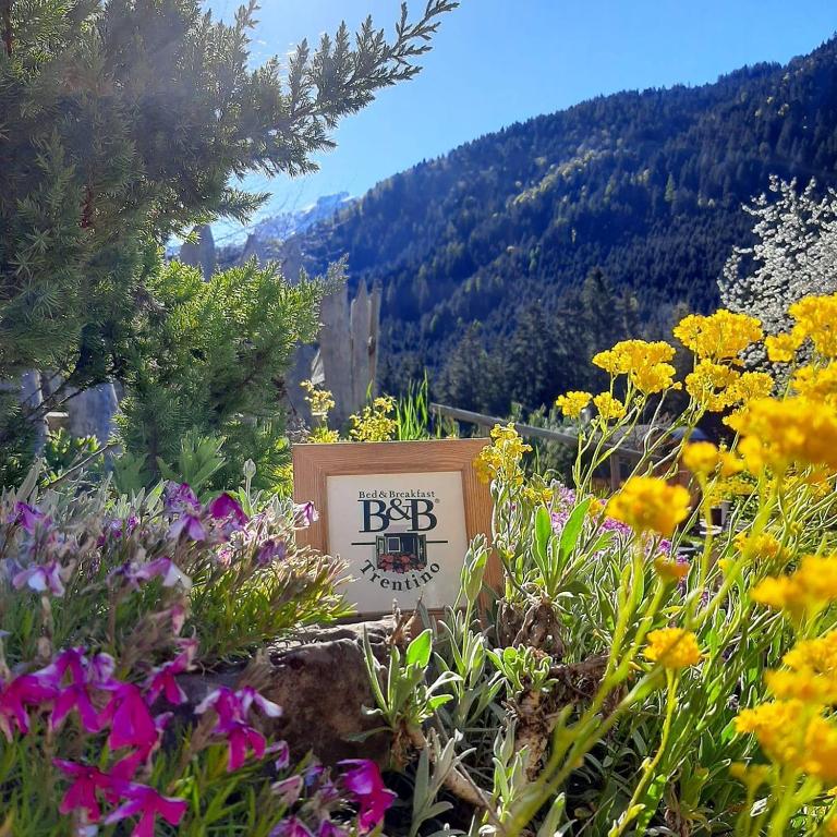 Výhľad na hory alebo výhľad na hory priamo z of the bed and breakfast