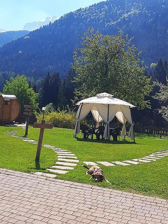 Výhľad na hory alebo výhľad na hory priamo z of the bed and breakfast
