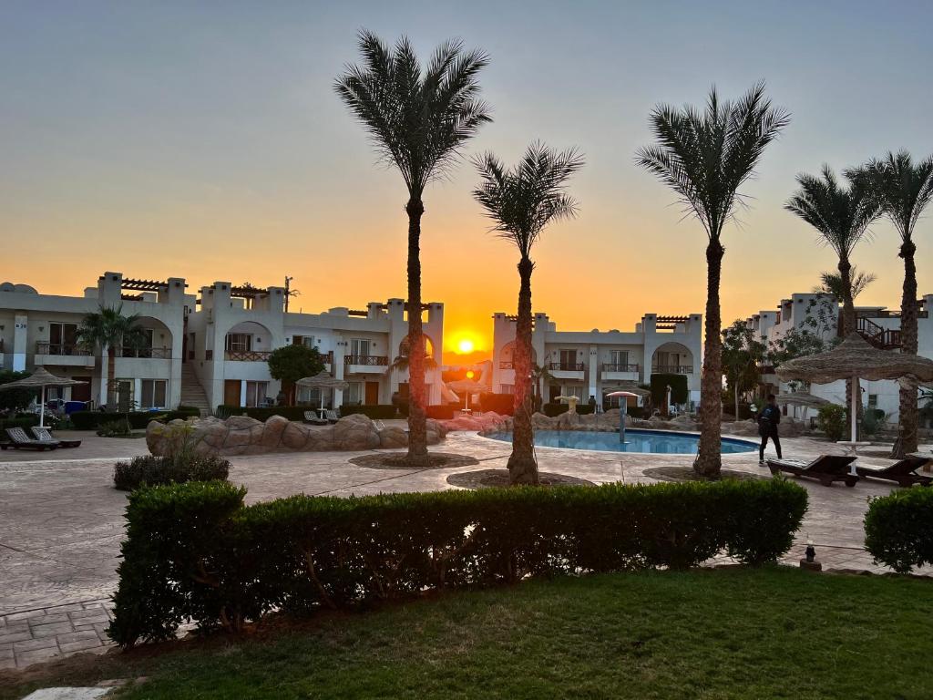 een groep palmbomen voor een gebouw bij Homie 1- master bedroom, pool and garden view in Sharm el Sheikh in Sharm El Sheikh