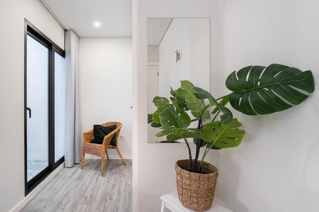 General Torres Apartments by Lisbeyond - 8