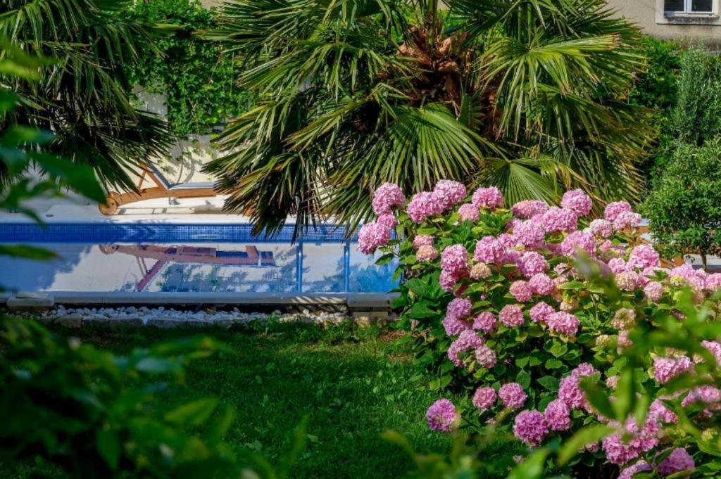 Vonkajšia záhrada v ubytovaní PALACE SCHÖN MILESI - esense of prestige - private pool - old money style luxury rooms - walking distance to the old town, the beach and all amenities - BURALUX properties