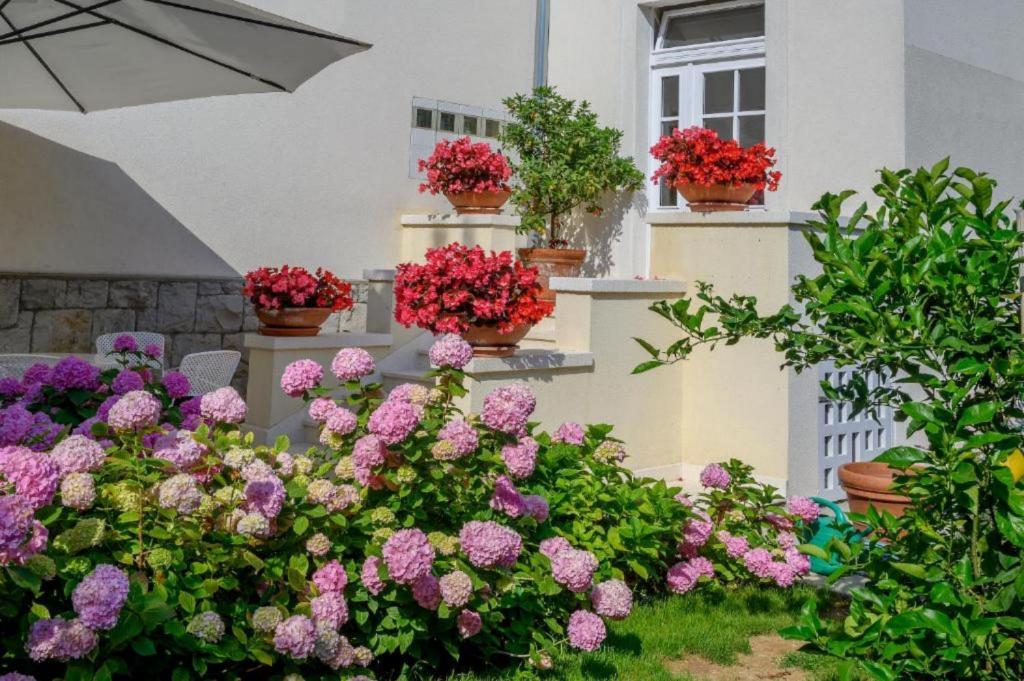 Vonkajšia záhrada v ubytovaní PALACE SCHÖN MILESI - esense of prestige - private pool - old money style luxury rooms - walking distance to the old town, the beach and all amenities - BURALUX properties